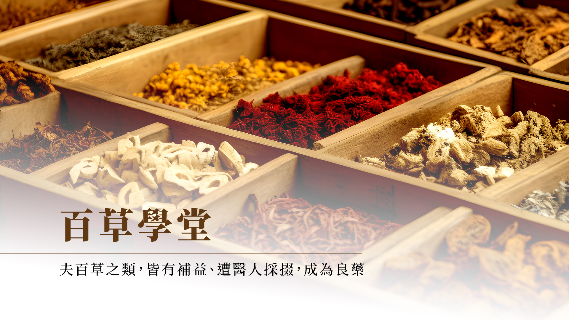 百草学堂