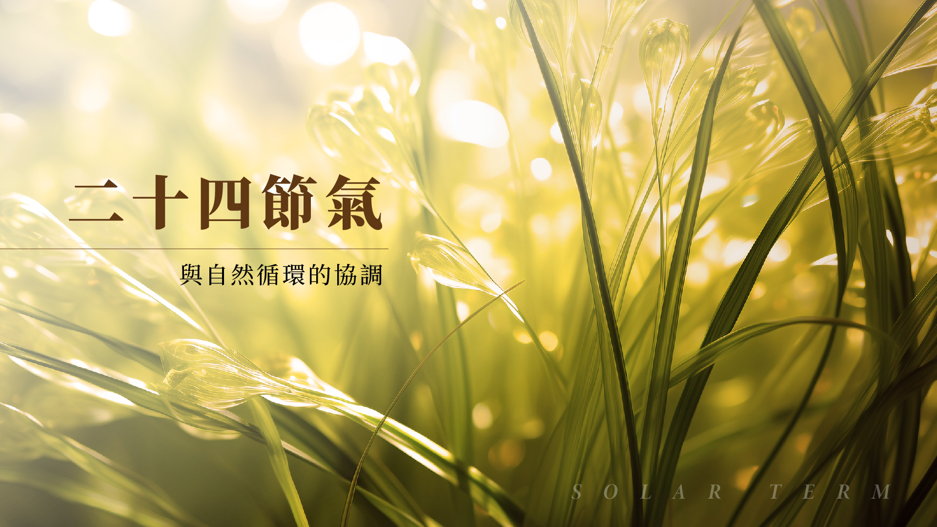 二十四节气