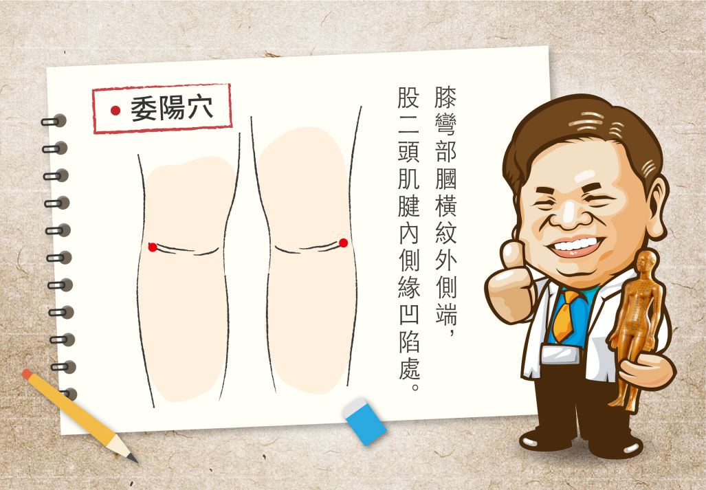 委陽穴