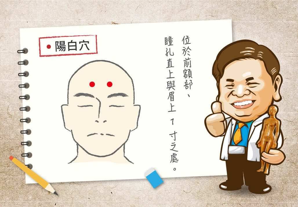 陽白穴
